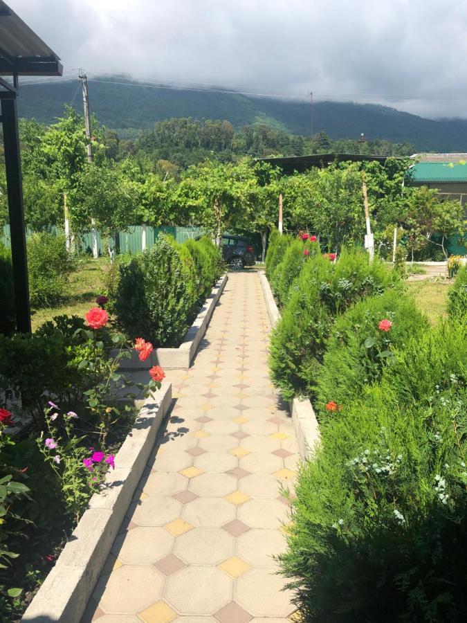Inn Aхчыпсы Gagra Extérieur photo