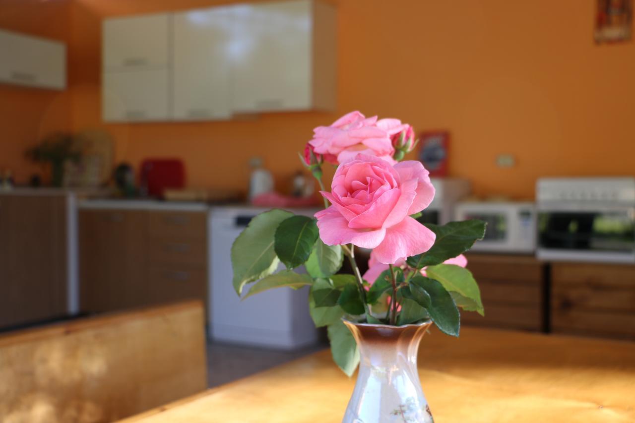 Inn Aхчыпсы Gagra Extérieur photo