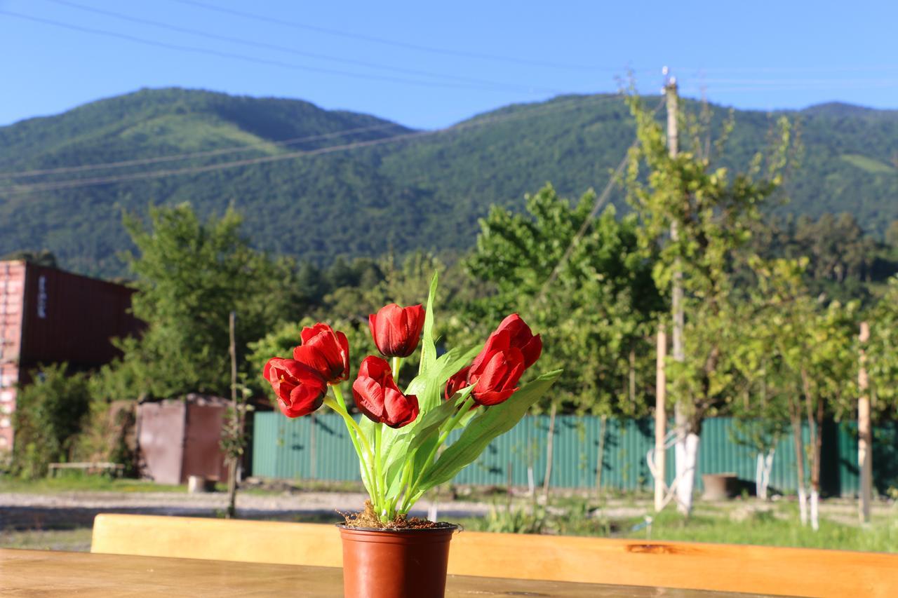 Inn Aхчыпсы Gagra Extérieur photo