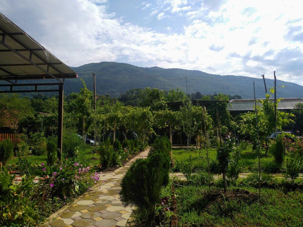 Inn Aхчыпсы Gagra Extérieur photo